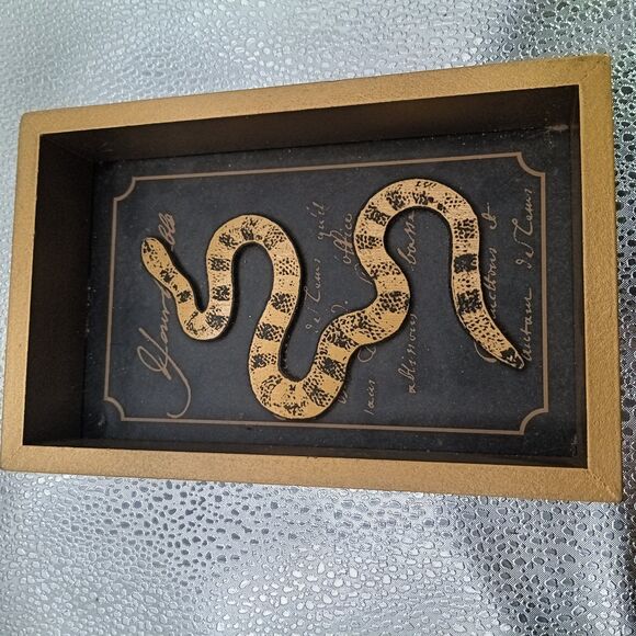 7"x4.5"x1" Snake Shadow Box Wall/Tabletop Décor – Gold Frame, Ashland - Picture 7 of 7